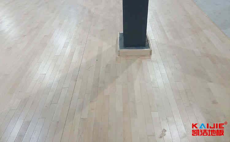 一级生性活片在线观看