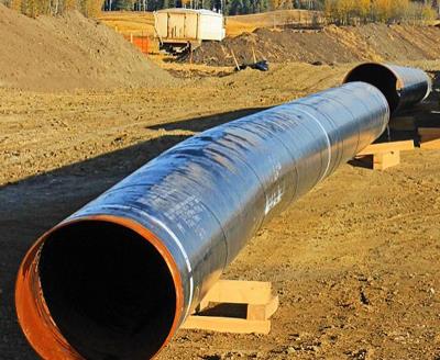 2021091115594432.jpg 2021091115594432.jpg